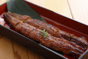 鰻の蒲焼